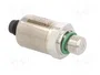 TELEMECANIQUE SENSORS XMLP250BD71F Transductor de Presión Relativa 0÷250bar