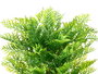 Ibergarden Maceta Planta Hoja Verde Piedra 48 cm, Maceta Decorativa de Plástico y Piedra, Dimensiones 30x50x30 cm, Color Negro y Verde (Set de 6)