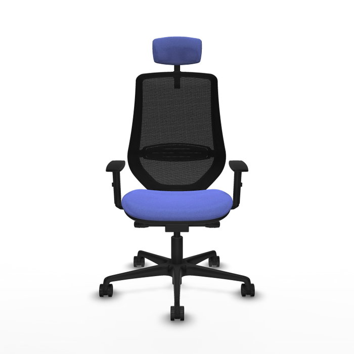 PIQUERAS Y CRESPO Silla de oficina Mardos con mecanismo Sincro/Traslack, Azul claro y Negro PIQUERAS Y CRESPO Silla de oficina Mardos con mecanismo Sincro/Traslack, Azul claro y Negro