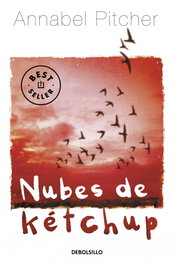 Nubes de Ketchup, Annabel Pitcher - DEBOLSILLO