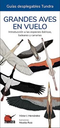 Tundra, Grandes aves en vuelo - Guías desplegables