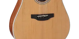 Takamine GD20CE-NS