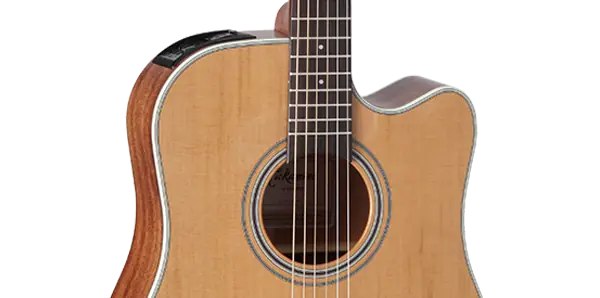 Takamine GD20CE-NS