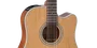 Takamine GD20CE-NS