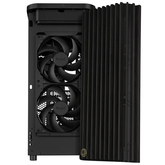 Asus ProArt PA401 Wood Edition Negro