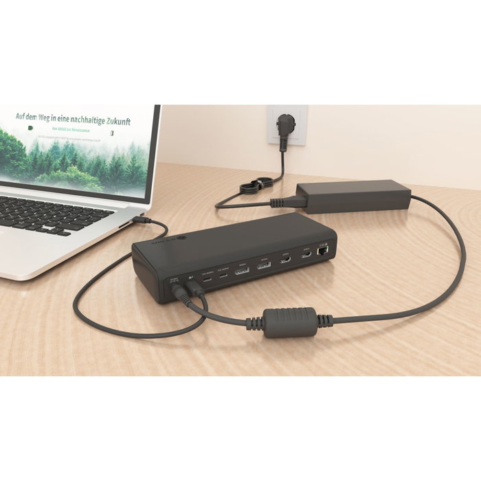 ICY BOX IB-DK7401-CU31 Multi Dockingstation 16-en-1