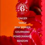 Roger & Gallet Gingembre Rouge Perfume Sólido 5 g