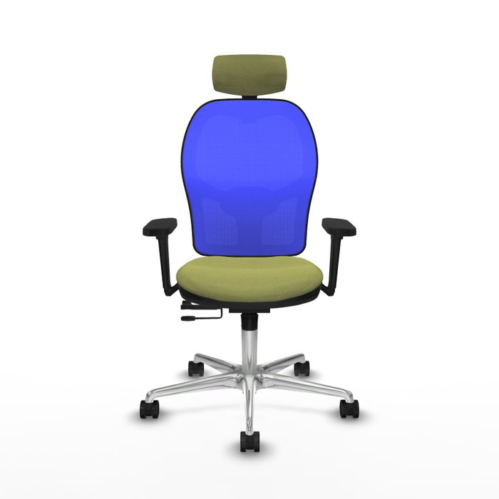 PIQUERAS Y CRESPO Silla de oficina Jorquera con mecanismo Sincro/Traslack, Verde oliva y Azul PIQUERAS Y CRESPO Silla de oficina Jorquera con mecanismo Sincro/Traslack, Verde oliva y Azul