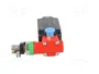 PIZZATO ELETTRICA FD Interruptor de seguridad de cuerda unilateral gris