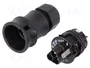 WIELAND Conector Industrial Redondo RST Macho de 3 Pines, 250V, Negro