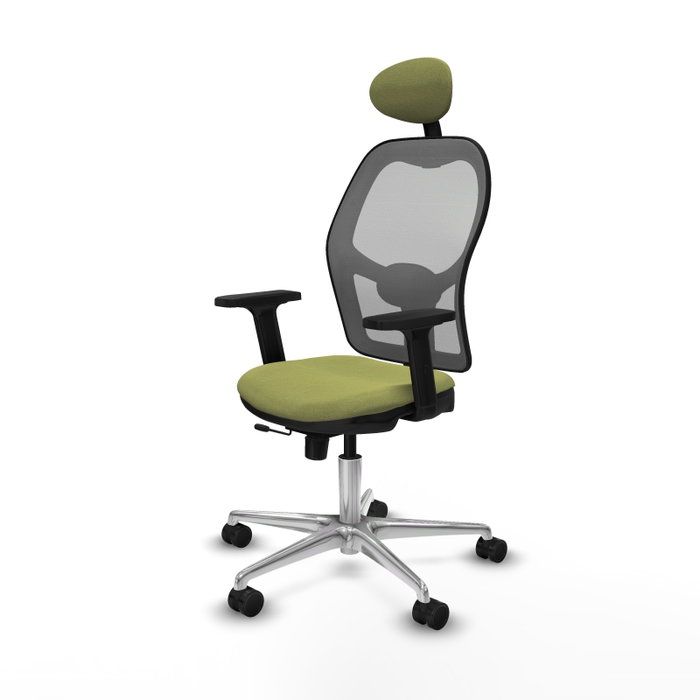 PIQUERAS Y CRESPO Silla de oficina Jorquera con mecanismo Sincro/Traslack, Verde oliva y Gris PIQUERAS Y CRESPO Silla de oficina Jorquera con mecanismo Sincro/Traslack, Verde oliva y Gris