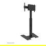 Neomounts FL45S-825BL1 Soporte de Suelo para TV MOVE Up, Ajustable 37-75", Negro, Inclinación y Altura, 70 kg, 100x100 - 600x400 mm VESA