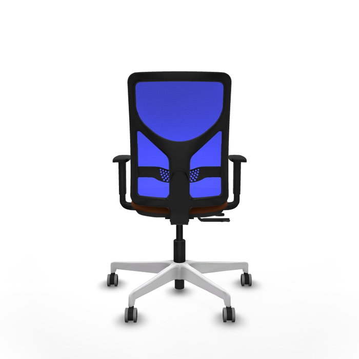 PIQUERAS Y CRESPO Silla de oficina Motilla con mecanismo Sincro/Traslack, Azul y Marrón PIQUERAS Y CRESPO Silla de oficina Motilla con mecanismo Sincro/Traslack, Azul y Marrón