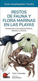 TUNDRA, RESTOS DE FAUNA Y FLORA MARINAS EN LAS PLAYAS