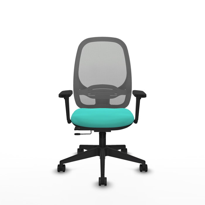 PIQUERAS Y CRESPO Silla de oficina Cilanco con mecanismo Sincro/Traslack Turquesa y Gris PIQUERAS Y CRESPO Silla de oficina Cilanco con mecanismo Sincro/Traslack Turquesa y Gris