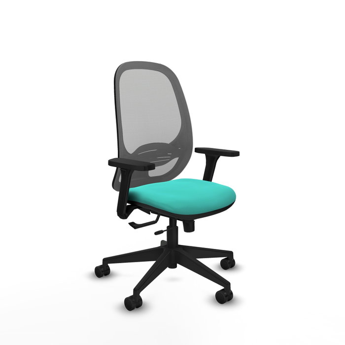 PIQUERAS Y CRESPO Silla de oficina Cilanco con mecanismo Sincro/Traslack Turquesa y Gris PIQUERAS Y CRESPO Silla de oficina Cilanco con mecanismo Sincro/Traslack Turquesa y Gris