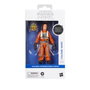 Hasbro Star Wars The Black Series: Coronel Ward 15 cm
