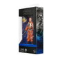 Hasbro Star Wars The Black Series: Coronel Ward 15 cm