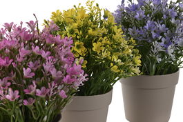 DKD Home Decor Planta Rosa Lila 18 x 19 x 18 cm (12 Unidades)