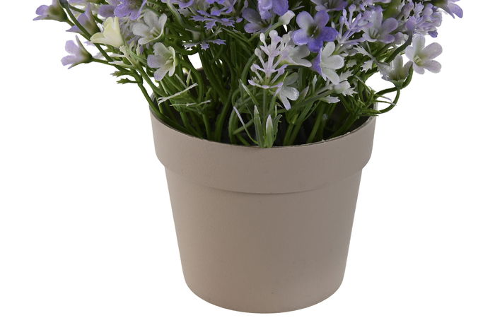 DKD Home Decor Planta Rosa Lila 18 x 19 x 18 cm (12 Unidades)