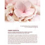 Beaver CHERRY BLOSSOM acondicionador seborregulador 350 ml
