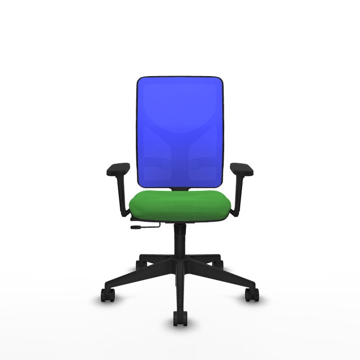 PIQUERAS Y CRESPO Silla de oficina Motilla con mecanismo Sincro/Traslack, Verde y Azul PIQUERAS Y CRESPO Silla de oficina Motilla con mecanismo Sincro/Traslack, Verde y Azul