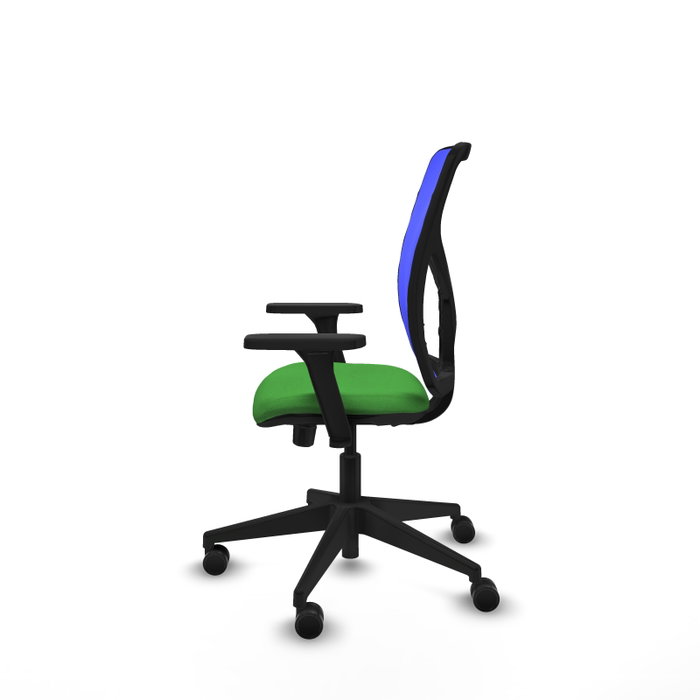 PIQUERAS Y CRESPO Silla de oficina Motilla con mecanismo Sincro/Traslack, Verde y Azul PIQUERAS Y CRESPO Silla de oficina Motilla con mecanismo Sincro/Traslack, Verde y Azul
