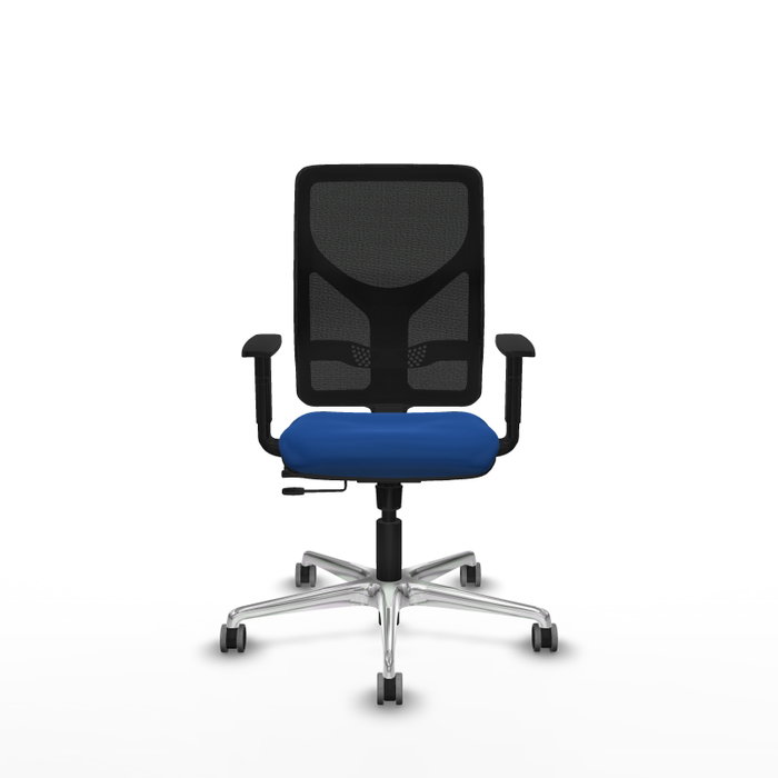 PIQUERAS Y CRESPO Silla de oficina Motilla con mecanismo Sincro/Traslack, Azul y Negro PIQUERAS Y CRESPO Silla de oficina Motilla con mecanismo Sincro/Traslack, Azul y Negro