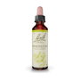 Bach Original Honeysuckle (Madreselva) 20 ml
