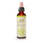 BACH Honeysuckle (Madreselva) Nº 16 20ml