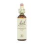 BACH Honeysuckle (Madreselva) Nº 16 20ml