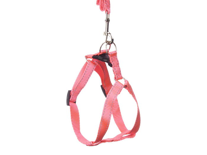 Mascow Correa para Mascota Reflectante 1,2 m Arnés Pequeño Surtidos Naranja Rosa Verde (Set de 24)