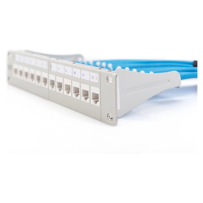 Digitus DN-91419 Patchpanel Modular 12 Puertos Gris