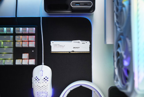 Kingston FURY Beast RGB Módulo de Memoria 32 GB 1x32 GB DDR5 ECC 6000 MT/s con Latencia CAS 30 KF560C30BWEA-32