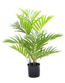 DKD Home Decor Palmera Verde PVC PP 40x50x70 cm