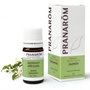 Pranarom Aceite absoluto de Jazmín 5 ml
