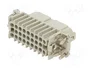 ILME CDF25 Conector HDC Hembra de 25 Pines