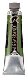 Rembrandt Óleo Verde Vejiga 623 Tubo 40 ml