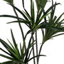 Planta Dracaena Verde Goma 130 cm