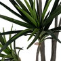 Planta Dracaena Verde Goma 130 cm