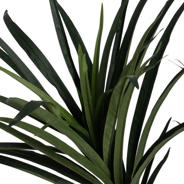 Ixia Planta Dracaena Verde Goma 130 cm