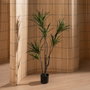 Ixia Planta Dracaena Verde Goma 130 cm