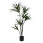 Ixia Planta Dracaena Verde Goma 130 cm