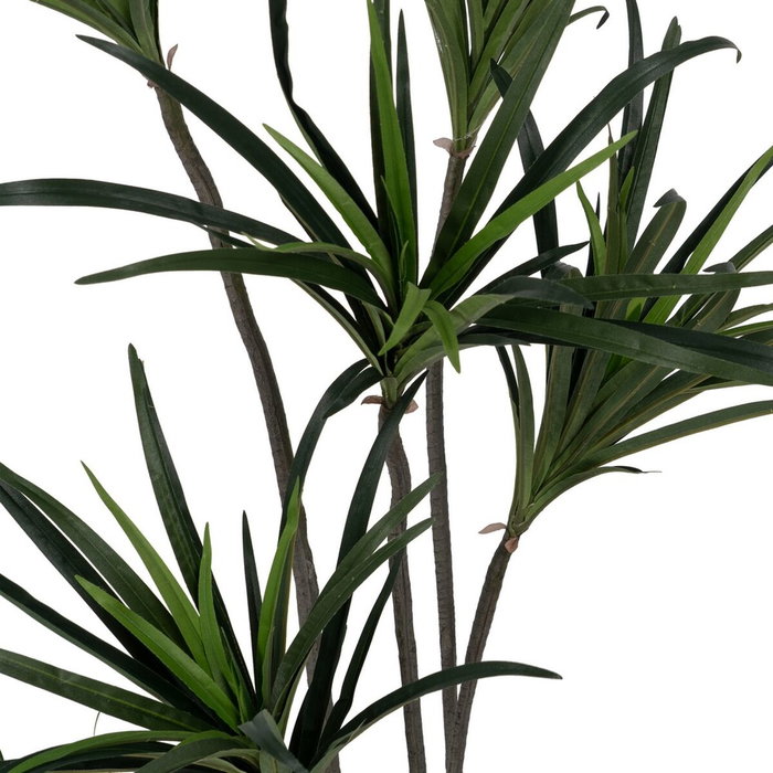 Ixia Planta Dracaena Verde Goma 130 cm