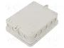 OBO Bettermann OBO A 18 Caja de derivación 125x100x38 PE gris claro RAL7035 2000410