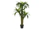 DKD Home Decor Helecho Verde 60x60x150 cm