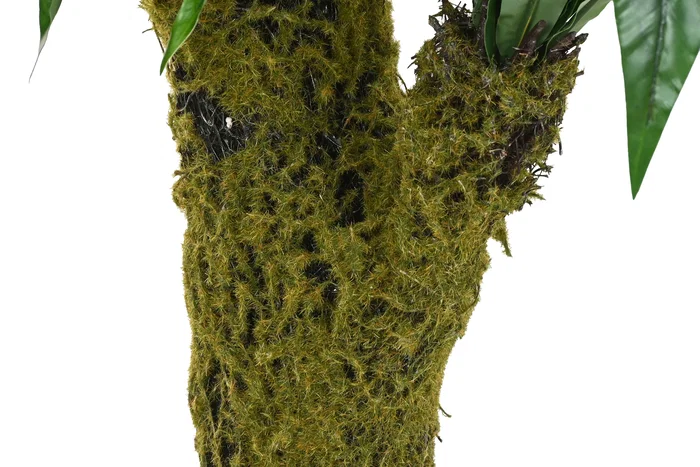 DKD Home Decor Helecho Verde 60x60x150 cm