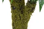 DKD Home Decor Helecho Verde 60x60x150 cm