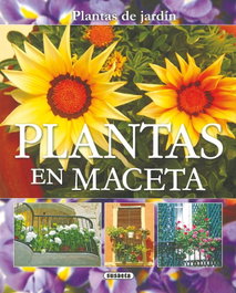 Plantas en maceta, Jorge Echagüe - SUSAETA EDICIONES