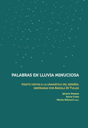 Palabras en lluvia minuciosa, AA.VV. - IBEROAMERICANA - VERVUERT